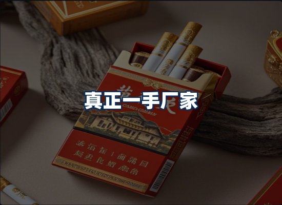 专业团队办公环境